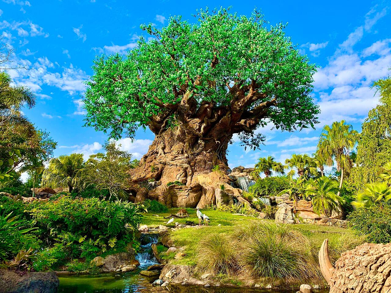Animal Kingdom is the closest Disney Theme Park at just 9 miles away.  You have 